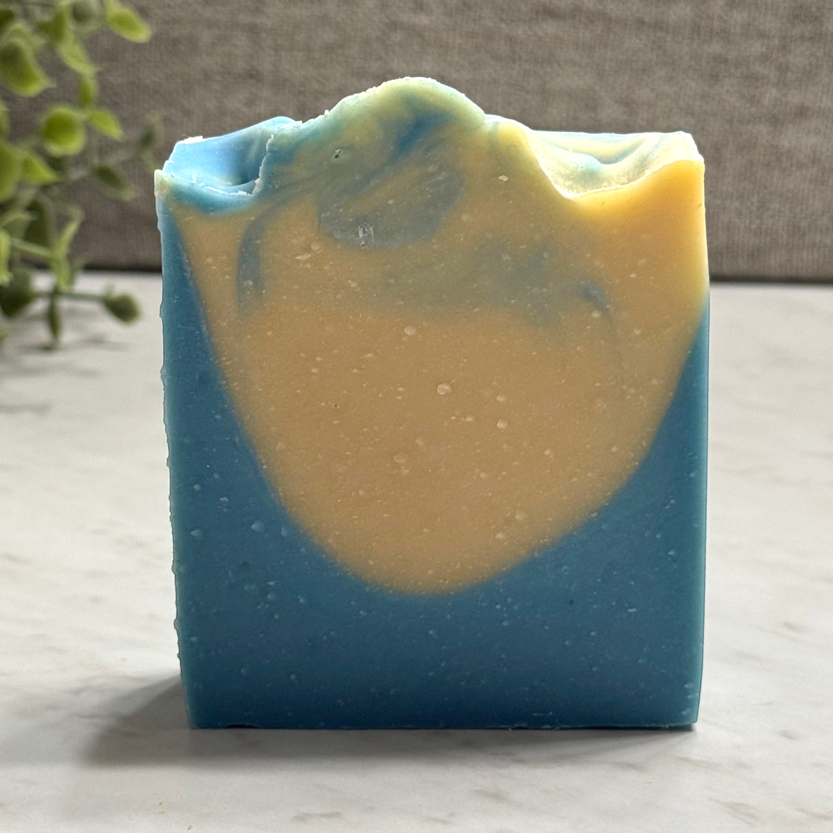 Citrus Paradise