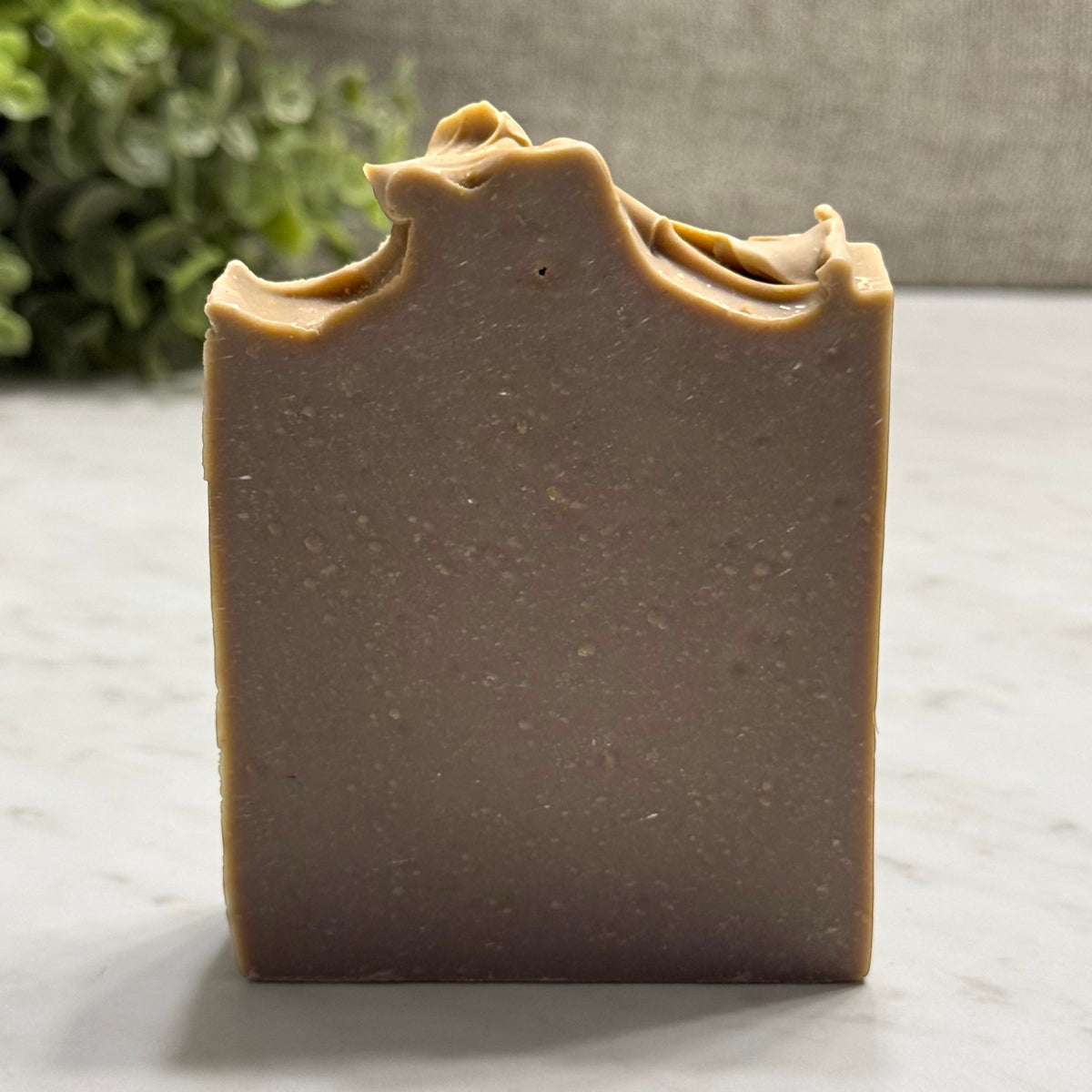 Iced Vanilla Woods with Activated Charcoal Artisan Soap