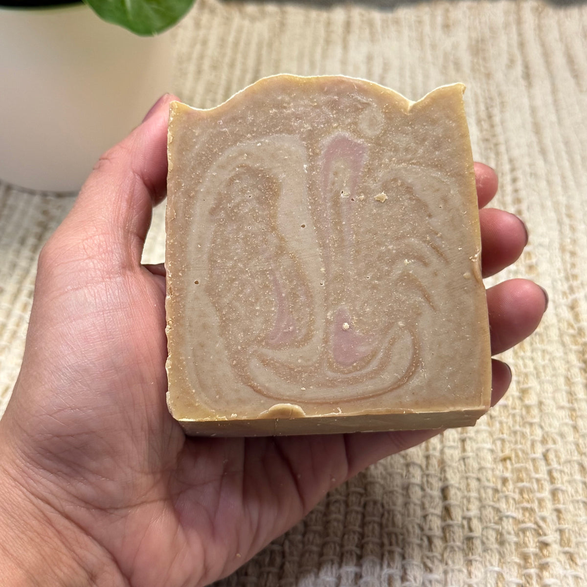Iced Vanilla Woods Artisan Soap
