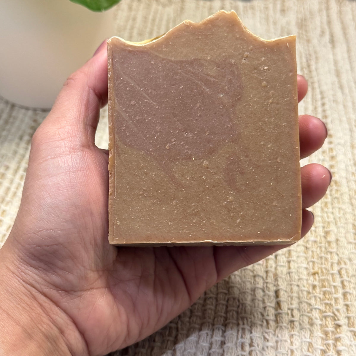 Spiced Vanilla & Cinnamon